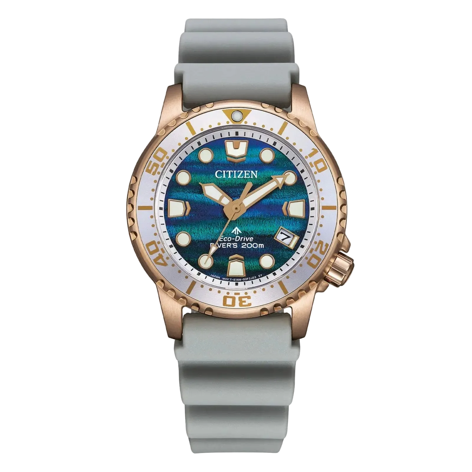 CITIZEN WATCHES MODEL EO2023-00W STANDARD EDITION