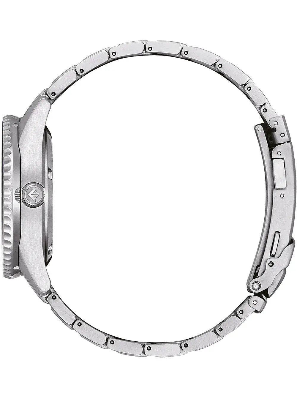 Citizen Promaster Fujitsubo Automatik