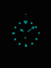 CITIZEN MOD NY0085-86EC MÄNNER QUARTZ DATUM 20ATM